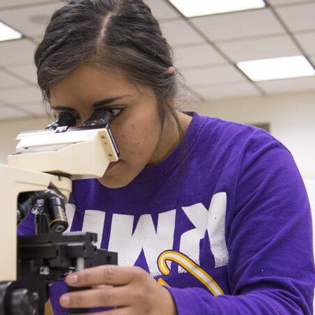学生在课堂上观察显微镜